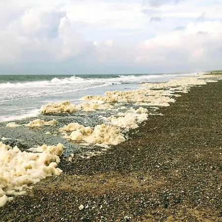 8 Person In Norre Nebel