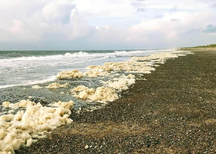 8 Person In Nørre Nebel